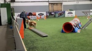 Вик, тренировка октябрь 25 -3