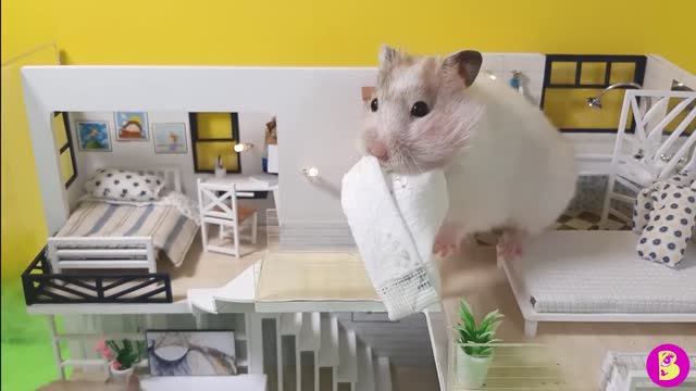 СМЕШНОЙ РОЛИК про ХОМЯЧАТ**СНОВА НЯНЯ смотреть онлайн