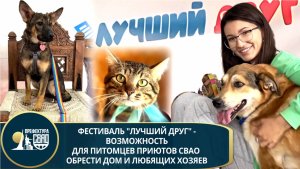 Фестиваль бездомных животных из приютов СВАО "Лучший друг"