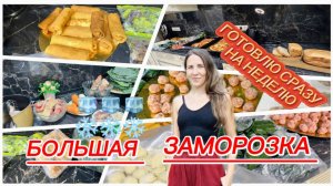 Заморозка еды на неделю. Наготовила горы всего за 6 часов