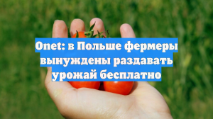 Onet: в Польше фермеры вынуждены раздавать урожай бесплатно
