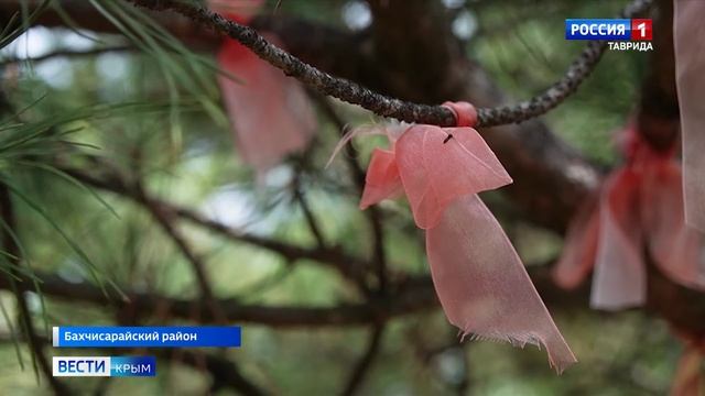 В Крыму активно работают над легализацией гостевых домов