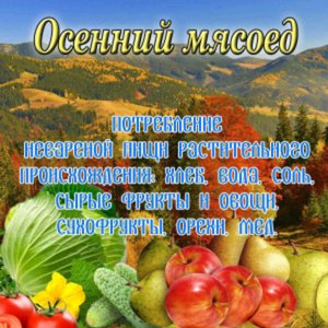 Морковно- сырная закуска.