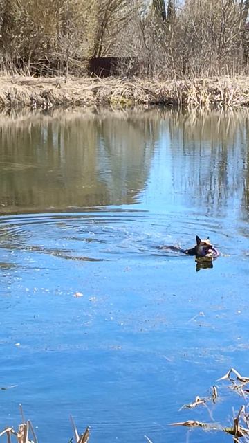 Весна купальный сезон. смотреть онлайн