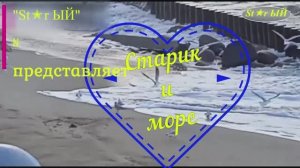 St✭r ЫЙ рассказывает про свою дружбу с чайкой