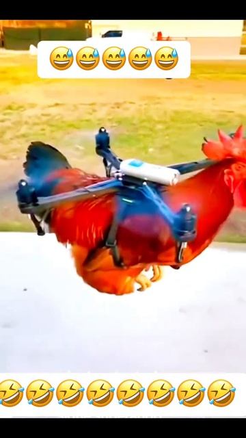 технология