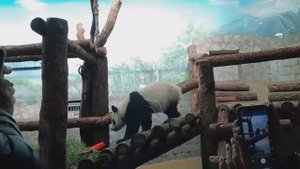 Прогулка по Московскому зоопарку, интересный животный мир.1 часть.