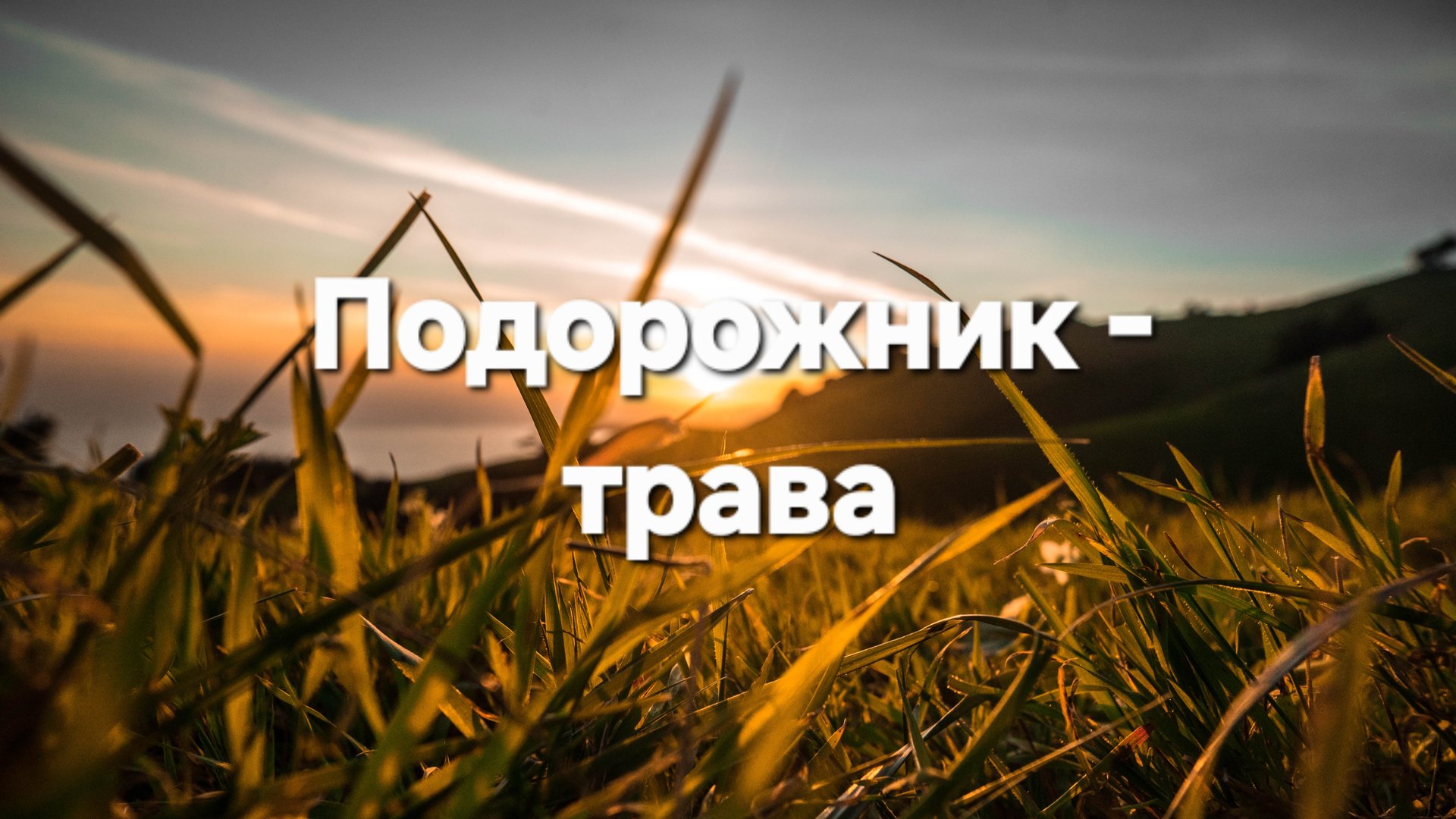 Подорожник-трава смотреть онлайн