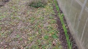 Начало октября: что сделано и что осталось