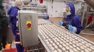 «Серволюкс» расширяет производство