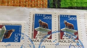 Пополнение коллекции