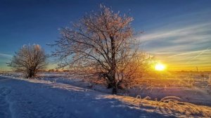 Время правду нести (Suno AI)