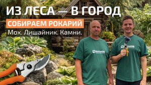 КАК СДЕЛАТЬ РОКАРИЙ своими руками | Мох, лишайник, камни, посадка растений