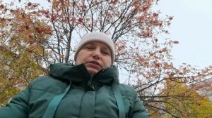 Паника, слёзы и одно потерянное направление. Моя реальная история.