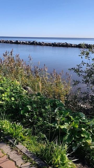 Отдых на Ладоге