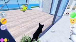 ПРЯТКИ КИСИКОВ В РОБЛОКСЕ! Roblox Kitten Game