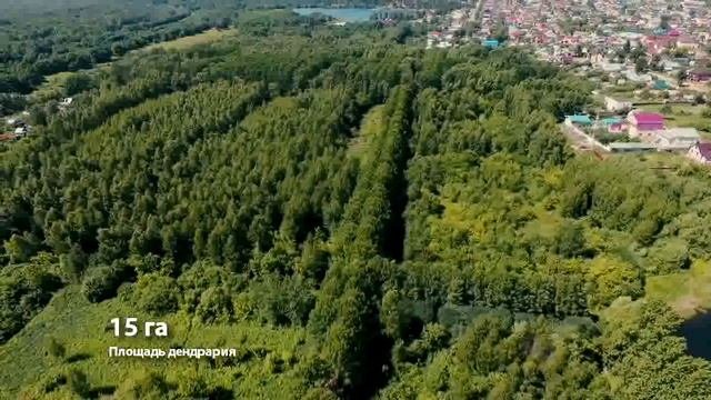 Наш Дагестан» «Парк Монрепо»