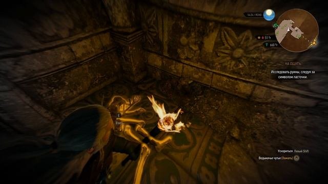 The Witcher 3 Wild Hunt ч8
