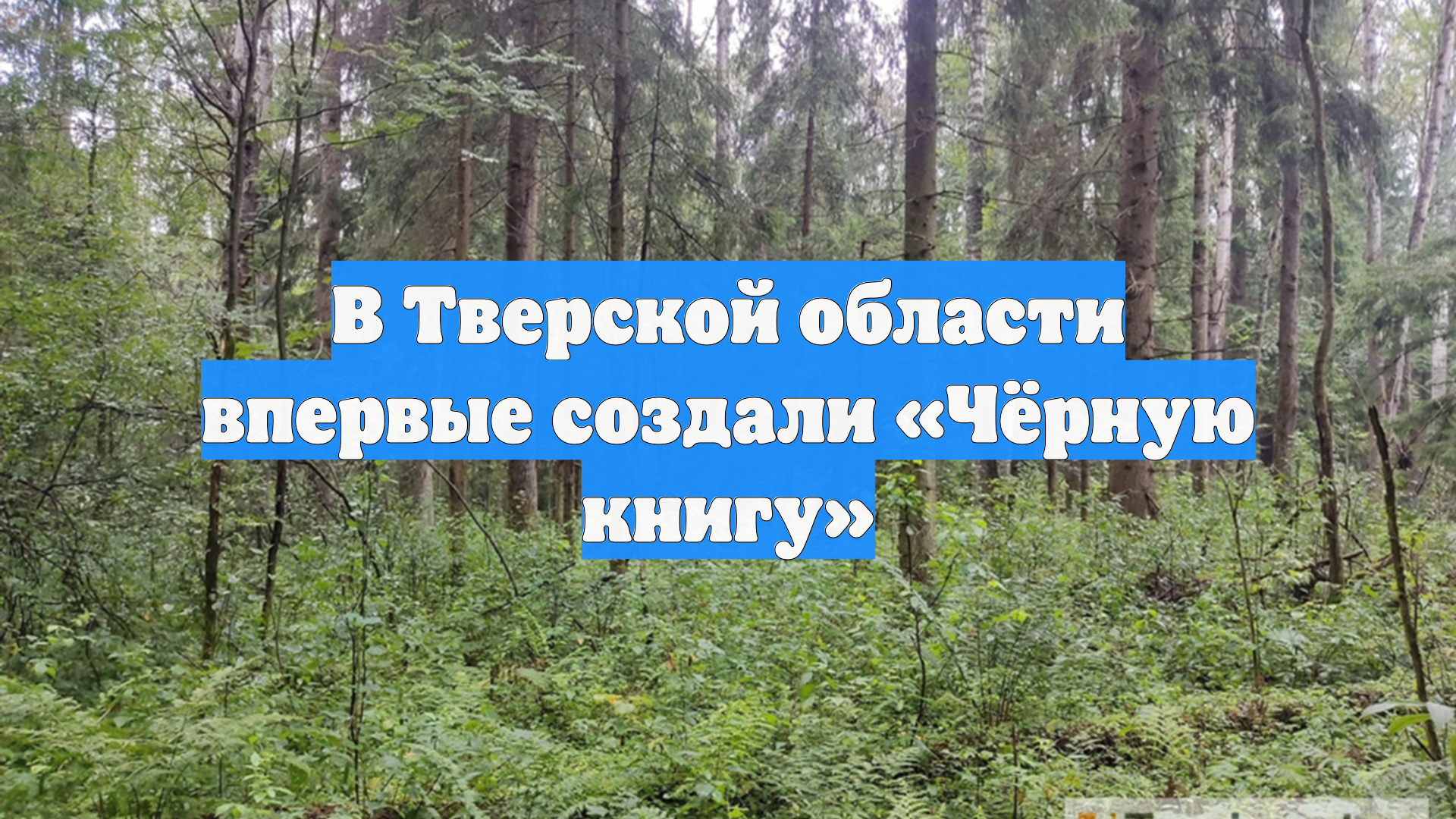 В Тверской области впервые создали «Чёрную книгу»