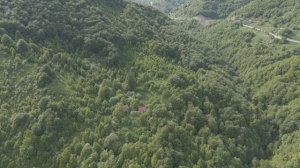 одинокий домик