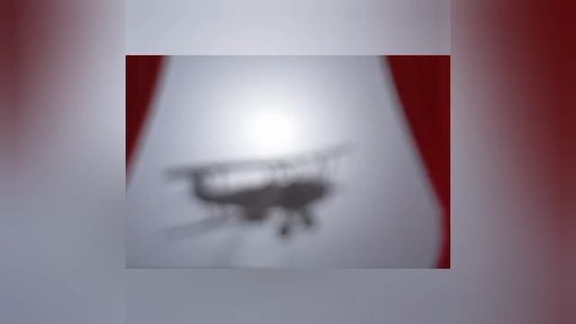 Отважная летчица
