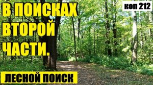 или ИНТЕРЕСНО КАК ОН В ЛЕСУ ТО ОКАЗАЛСЯ?. коп 212