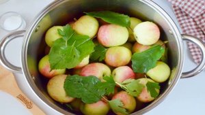 Моченые яблоки