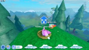 МЫ С ЙОШИ ЛУЧШИЕ РОДИТЕЛИ-ПТИЦЫ! Roblox Feather Family