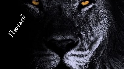 технологичка м 12