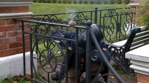 (Рыбинск-40) НОВЫЙ ЖИТЕЛЬ КАРЯКИНСКОГО САДА