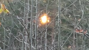 Кладоискательские истории.Коп фартовый!