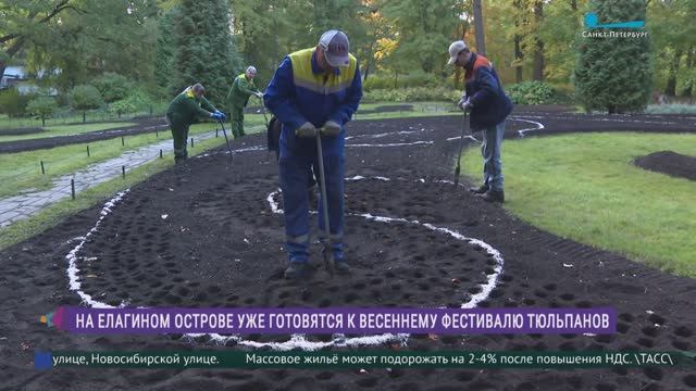 Фестиваль тюльпанов 2026: подготовка началась!