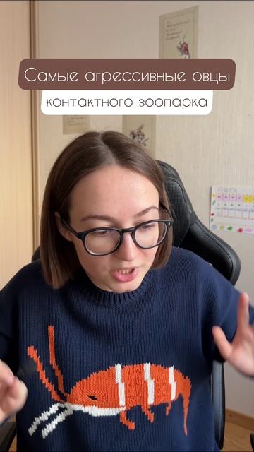 На что готовы пойти овечки, если корм слишком вкусный? Подписывайся - будет много интересного :)