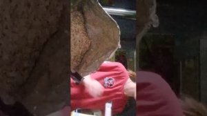 замешиваем прикормку на леща