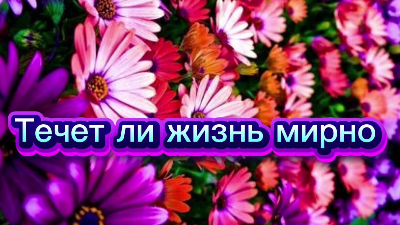 Течёт ли жизнь мирно