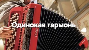 Одинокая гармонь