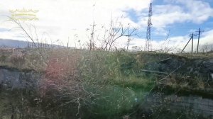 Воркута. 03.10.25. Рудник.Геофизика.