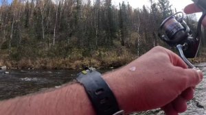 Осенняя рыболовная история 2025🤟👌😀🌲🌄🐟😎 трейлер.. 20-23.09.2025) Горы, хариус,поход, красота))