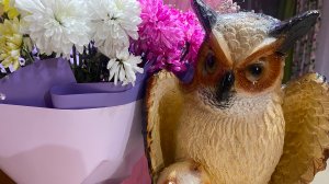 М6. Десятичные дроби