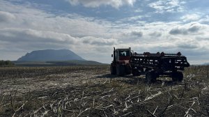 КИ-12 STELLAR: Эффективное измельчение стерни подсолнечника