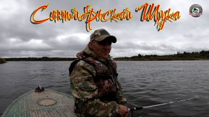 Сентябрьская Щука/Рыбалка Севера.
