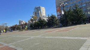 6.10.25. Жизнь аборигенки. Гуляем с родителями, куда они делись.