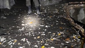 Дидинский тоннель