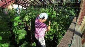 Влог от 05.07.2021