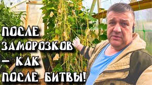 Уют на даче: Осенние приключения