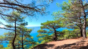 Велотропа ВелоSea Кабардинка-Геленджик