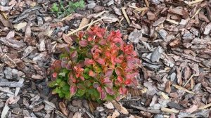 Ремонт убитой дачи Часть 28! 🥳🏡