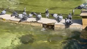 Водные процедуры