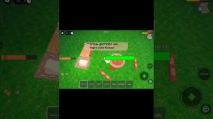 99 NIGHTS IN THE FOREST