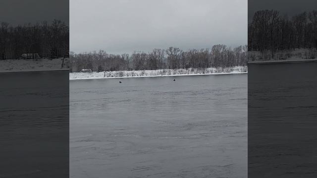город Углич, река Волга, в районе за Казанской церковью, панорамный обзор (06.01.21)